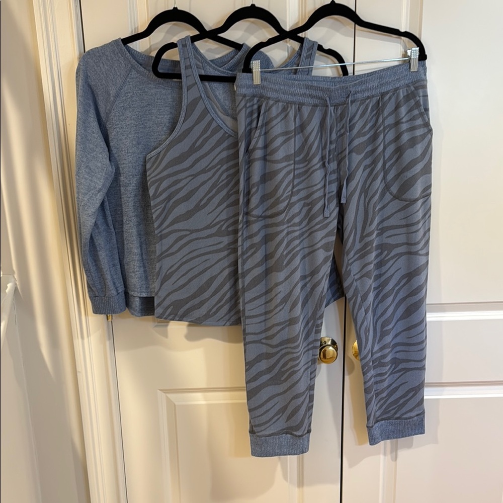 Gray Zebra Print Lounge Set